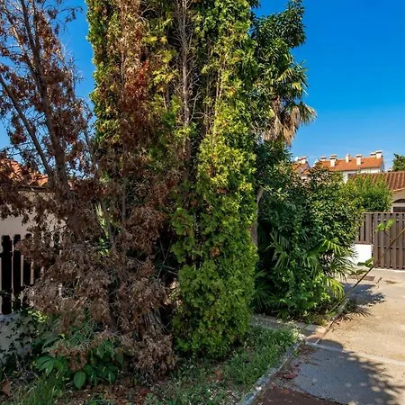 Rona Ana Prázdninový dům