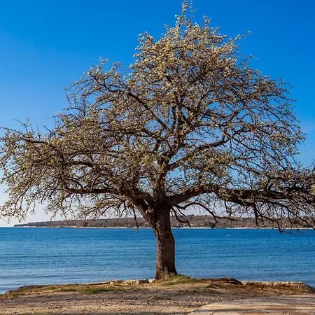 Holiday Ana Holiday home *