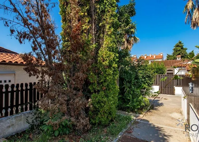 Rona Ana Prázdninový dům