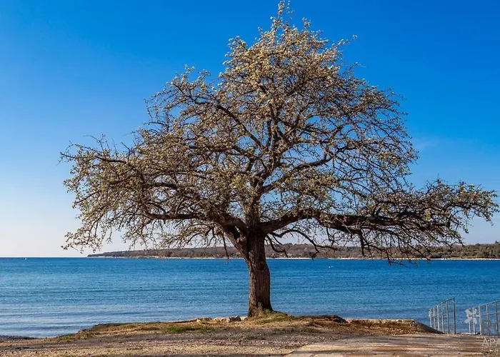 Holiday Ana Ferienhaus *